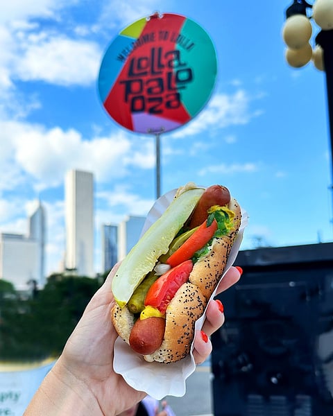 Vienna Beef's hot dogs